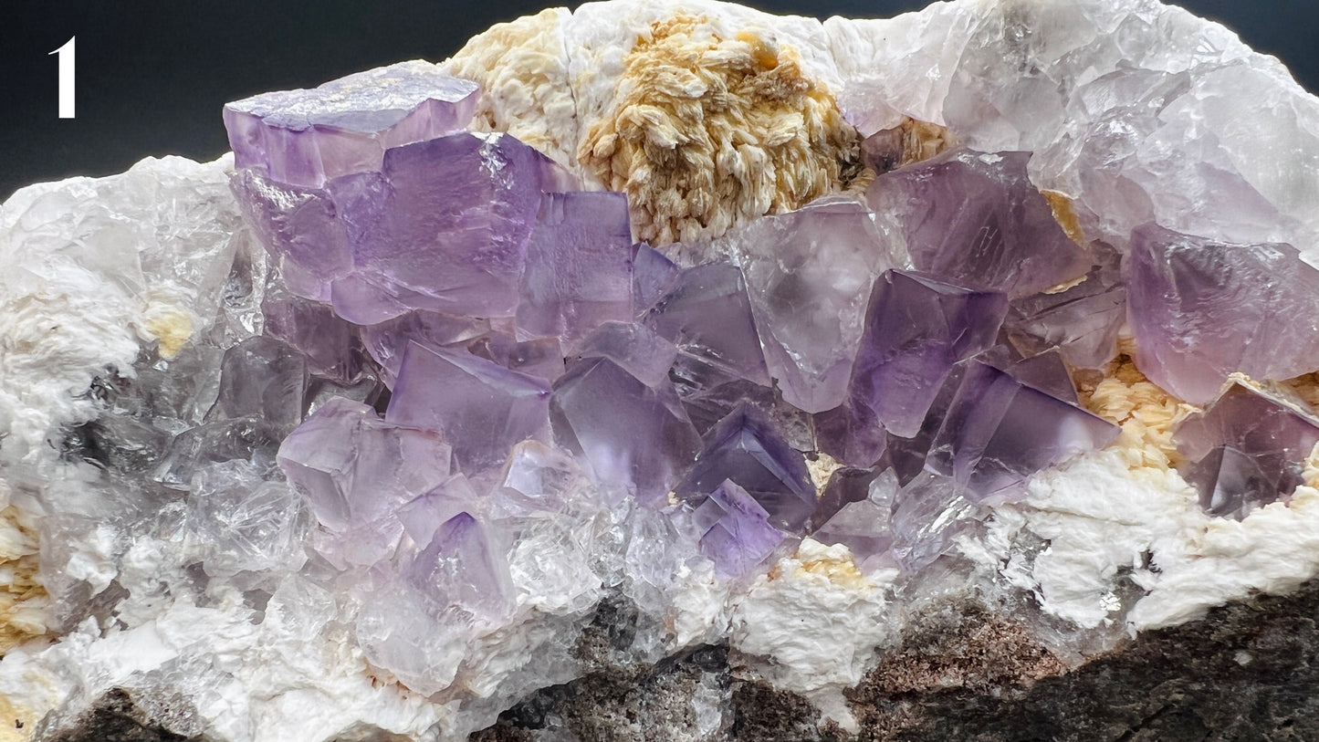 Purple Fluorite Specimen 💜 [STONEWISE COLLECTION] 💜