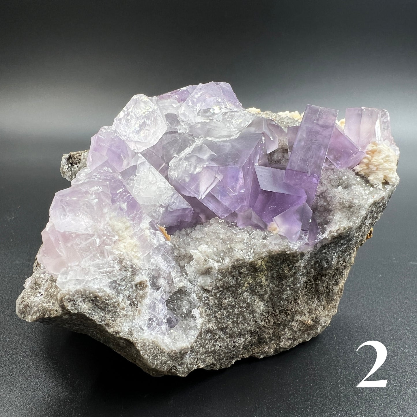 Purple Fluorite Specimen 💜 [STONEWISE COLLECTION] 💜