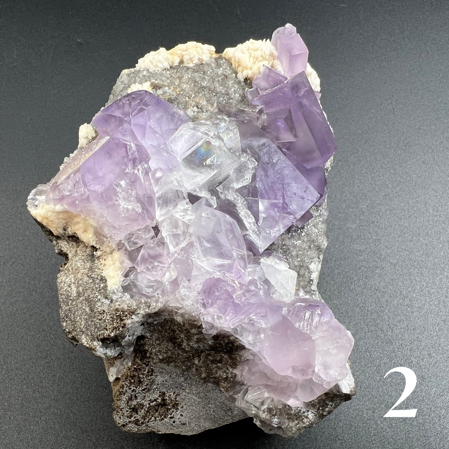 Purple Fluorite Specimen 💜 [STONEWISE COLLECTION] 💜