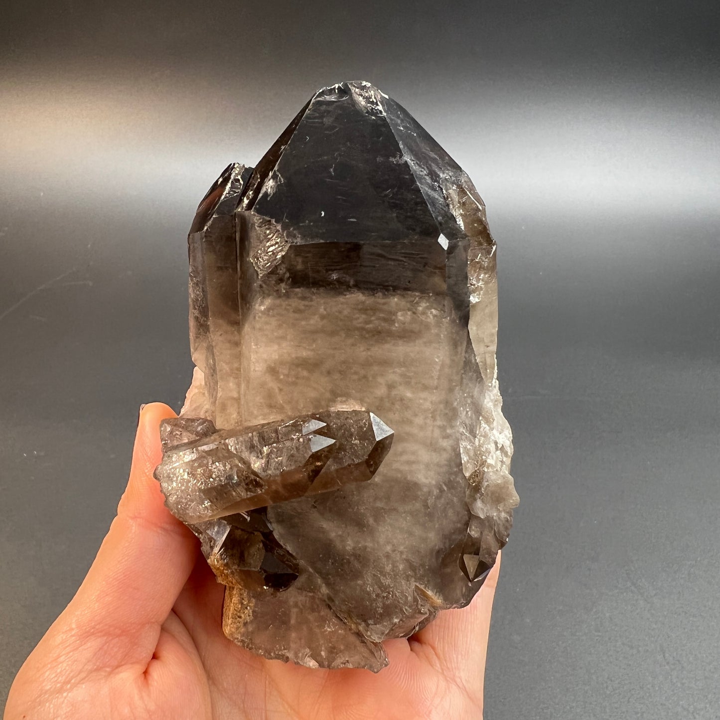 Natural Brazilian Smoky Quartz🤎