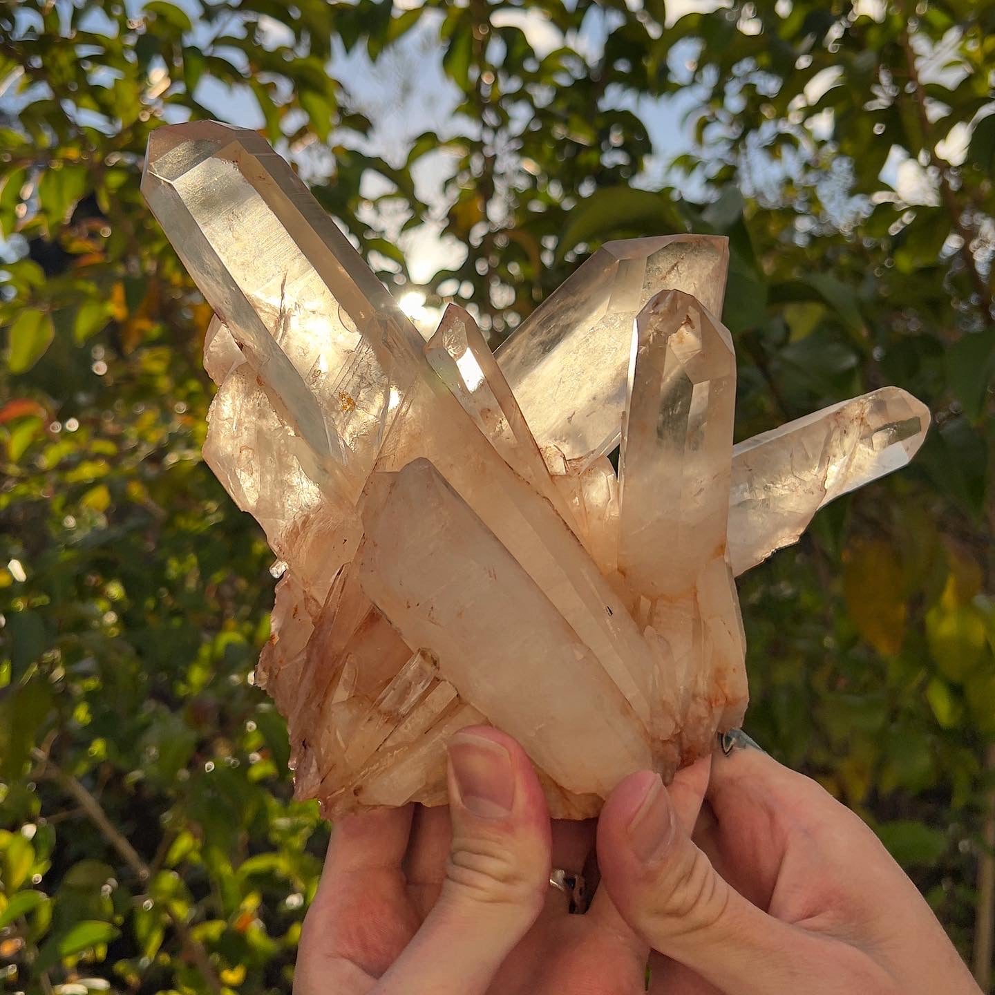 The Crown-Golden Healer Quartz Cluster from Madagascar